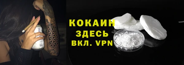 мяу мяу мука Сафоново