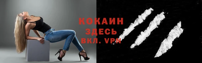 мяу мяу мука Сафоново