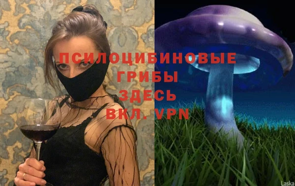 трава Саяногорск