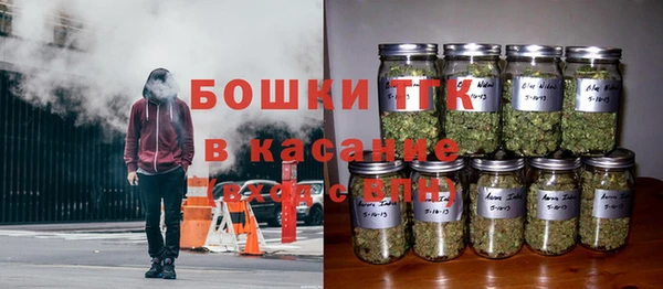 мяу мяу мука Сафоново