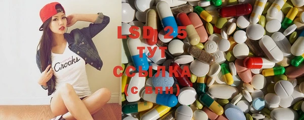 мяу мяу мука Сафоново