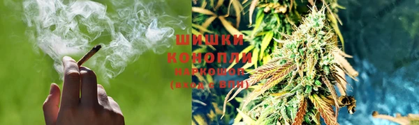 трава Саяногорск
